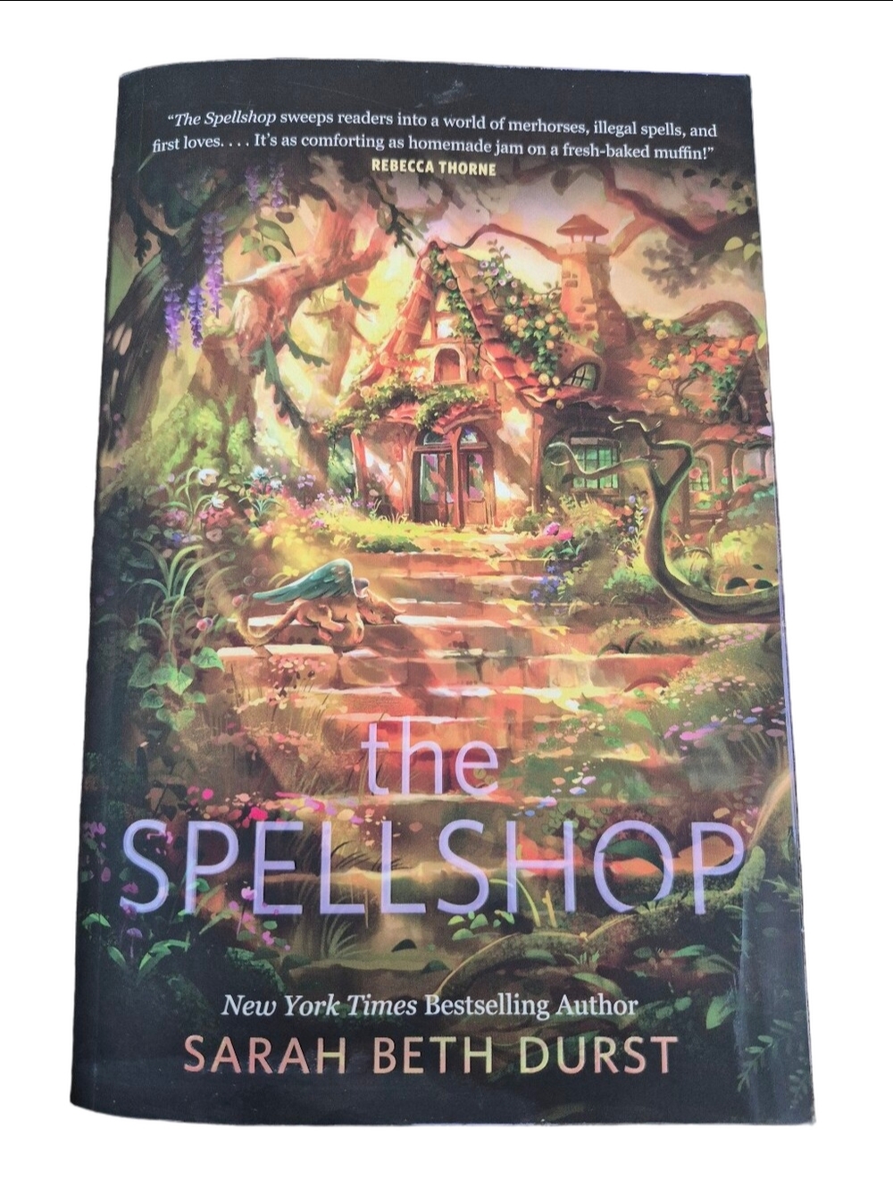 The Spellshop by Sarah Beth Durst Cozy Fantasy Romance Paperback Novel
